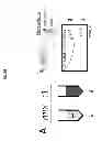 Fig. 04 - Peptides and methods using same