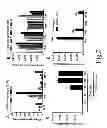 Fig. 03 - CHEMICALLY MODIFIED CELL-PENETRATING PEPTIDES FOR IMPROVED DELIVERY OF GENE MODULATING COMPOUNDS