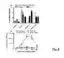 Fig. 05 - CHEMICALLY MODIFIED CELL-PENETRATING PEPTIDES FOR IMPROVED DELIVERY OF GENE MODULATING COMPOUNDS