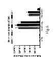 Fig. 08 - CHEMICALLY MODIFIED CELL-PENETRATING PEPTIDES FOR IMPROVED DELIVERY OF GENE MODULATING COMPOUNDS