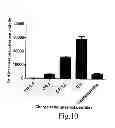 Fig. 12 - CHEMICALLY MODIFIED CELL-PENETRATING PEPTIDES FOR IMPROVED DELIVERY OF GENE MODULATING COMPOUNDS
