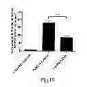 Fig. 17 - CHEMICALLY MODIFIED CELL-PENETRATING PEPTIDES FOR IMPROVED DELIVERY OF GENE MODULATING COMPOUNDS