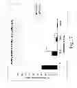 Fig. 19 - CHEMICALLY MODIFIED CELL-PENETRATING PEPTIDES FOR IMPROVED DELIVERY OF GENE MODULATING COMPOUNDS