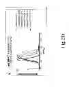 Fig. 33 - CHEMICALLY MODIFIED CELL-PENETRATING PEPTIDES FOR IMPROVED DELIVERY OF GENE MODULATING COMPOUNDS