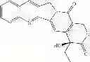 Fig. 121 - ANTIOXIDANT, NEUROPROTECTIVE AND ANTINEOPLASTIC NANOPARTICLES COMPRISING A THERAPEUTIC AGENT ON AN AMPHIPHILIC SPACER OR AN AMPHIPHILIC POLYMER