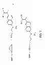 Fig. 08 - Functionalized magnetic nanoparticles and use in imaging amyloid deposits and neurofibrillary tangles
