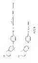 Fig. 09 - Functionalized magnetic nanoparticles and use in imaging amyloid deposits and neurofibrillary tangles