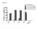 Fig. 37 - Anti-complement C1s antibodies