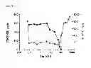 Fig. 42 - Anti-complement C1s antibodies
