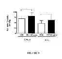 Fig. 06 - Treatment of obesity