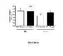 Fig. 07 - Treatment of obesity