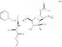 Fig. 08 - D-Alanine Ester of Rp-Nucleoside Analog