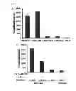 Fig. 07 - VIRUSES MODIFIED WITH UNNATURAL MOIETIES AND METHODS OF USE THEREOF