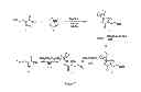 Fig. 08 - VIRUSES MODIFIED WITH UNNATURAL MOIETIES AND METHODS OF USE THEREOF
