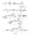 Fig. 09 - VIRUSES MODIFIED WITH UNNATURAL MOIETIES AND METHODS OF USE THEREOF