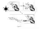 Fig. 14 - VIRUSES MODIFIED WITH UNNATURAL MOIETIES AND METHODS OF USE THEREOF