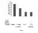 Fig. 19 - VIRUSES MODIFIED WITH UNNATURAL MOIETIES AND METHODS OF USE THEREOF