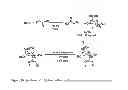 Fig. 21 - VIRUSES MODIFIED WITH UNNATURAL MOIETIES AND METHODS OF USE THEREOF