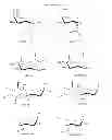 Fig. 23 - VIRUSES MODIFIED WITH UNNATURAL MOIETIES AND METHODS OF USE THEREOF