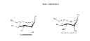 Fig. 24 - VIRUSES MODIFIED WITH UNNATURAL MOIETIES AND METHODS OF USE THEREOF