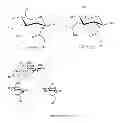 Fig. 25 - VIRUSES MODIFIED WITH UNNATURAL MOIETIES AND METHODS OF USE THEREOF