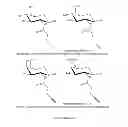 Fig. 26 - VIRUSES MODIFIED WITH UNNATURAL MOIETIES AND METHODS OF USE THEREOF