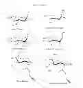 Fig. 28 - VIRUSES MODIFIED WITH UNNATURAL MOIETIES AND METHODS OF USE THEREOF