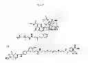Fig. 35 - VIRUSES MODIFIED WITH UNNATURAL MOIETIES AND METHODS OF USE THEREOF