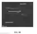 Fig. 06 - Compositions and methods for recruiting and localizing stem cells