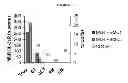 Fig. 17 - Methods of manufacture of immunocompatible chorionic membrane products