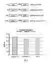 Fig. 13 - Serine protease molecules and therapies