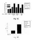 Fig. 03 - Methods and kits for assessing heparanase procoagulant activity, compositions comprising heparanase, and methods for the treatment of coagulation related disorders