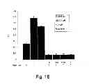 Fig. 04 - Methods and kits for assessing heparanase procoagulant activity, compositions comprising heparanase, and methods for the treatment of coagulation related disorders