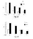 Fig. 07 - Methods and kits for assessing heparanase procoagulant activity, compositions comprising heparanase, and methods for the treatment of coagulation related disorders