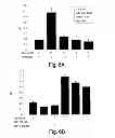 Fig. 08 - Methods and kits for assessing heparanase procoagulant activity, compositions comprising heparanase, and methods for the treatment of coagulation related disorders