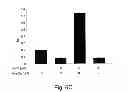 Fig. 09 - Methods and kits for assessing heparanase procoagulant activity, compositions comprising heparanase, and methods for the treatment of coagulation related disorders