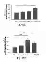 Fig. 21 - Methods and kits for assessing heparanase procoagulant activity, compositions comprising heparanase, and methods for the treatment of coagulation related disorders