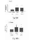 Fig. 24 - Methods and kits for assessing heparanase procoagulant activity, compositions comprising heparanase, and methods for the treatment of coagulation related disorders