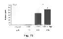 Fig. 25 - Methods and kits for assessing heparanase procoagulant activity, compositions comprising heparanase, and methods for the treatment of coagulation related disorders