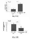 Fig. 27 - Methods and kits for assessing heparanase procoagulant activity, compositions comprising heparanase, and methods for the treatment of coagulation related disorders