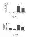 Fig. 28 - Methods and kits for assessing heparanase procoagulant activity, compositions comprising heparanase, and methods for the treatment of coagulation related disorders