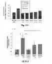 Fig. 29 - Methods and kits for assessing heparanase procoagulant activity, compositions comprising heparanase, and methods for the treatment of coagulation related disorders