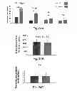Fig. 30 - Methods and kits for assessing heparanase procoagulant activity, compositions comprising heparanase, and methods for the treatment of coagulation related disorders