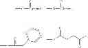 Fig. 23 - Compositions and methods of use of phorbol esters for the treatment of stroke