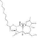 Fig. 30 - Compositions and methods of use of phorbol esters for the treatment of stroke
