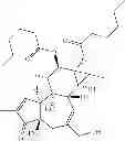 Fig. 37 - Compositions and methods of use of phorbol esters for the treatment of stroke