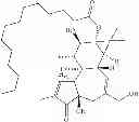 Fig. 40 - Compositions and methods of use of phorbol esters for the treatment of stroke