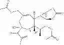 Fig. 42 - Compositions and methods of use of phorbol esters for the treatment of stroke