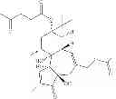 Fig. 44 - Compositions and methods of use of phorbol esters for the treatment of stroke