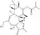 Fig. 45 - Compositions and methods of use of phorbol esters for the treatment of stroke